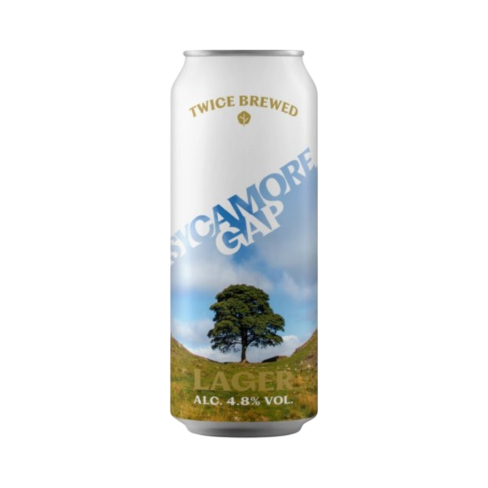 TWICE BREWED SYCAMORE GAP LAGER 440ml CAN