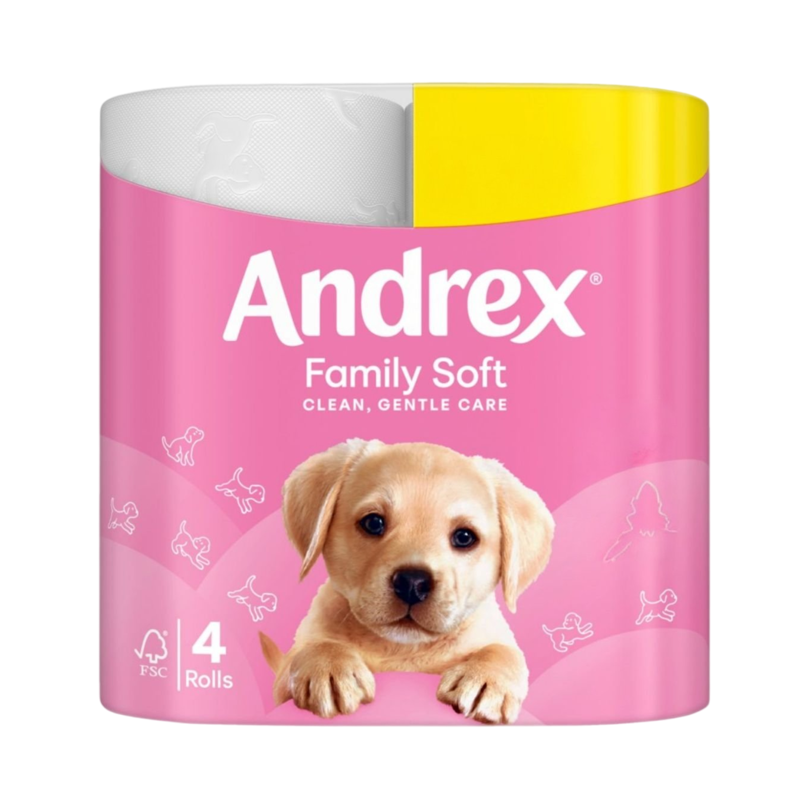 ANDREX FAMILY SOFT TOILET TISSUE 4 PACK