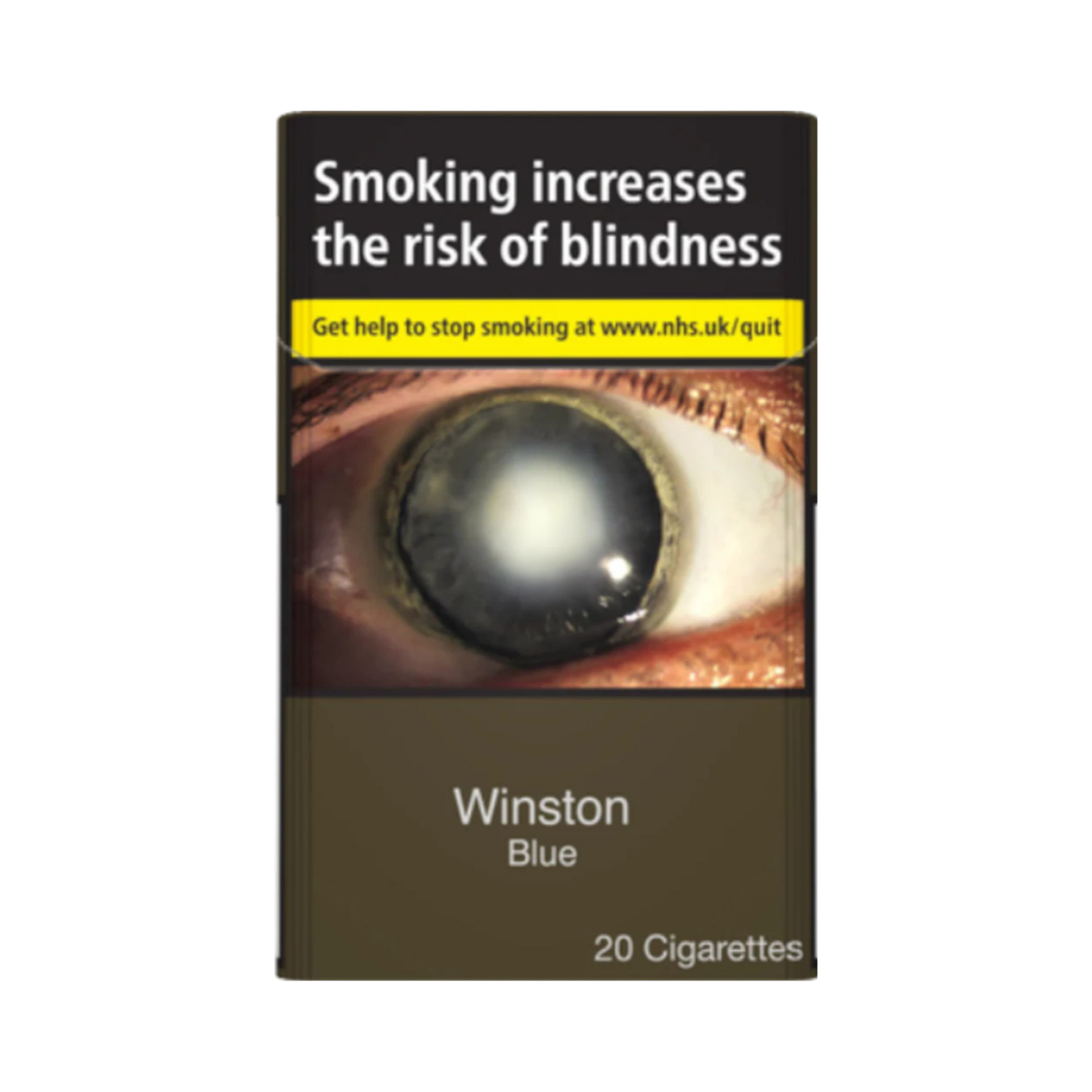 WINSTON BLUE 20 CIGARETTE