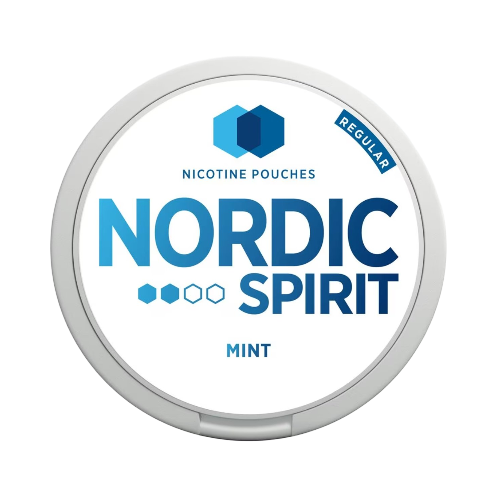 NORDIC SPIRIT NICOTINE POUCH MINT FLAVOUR 6mg